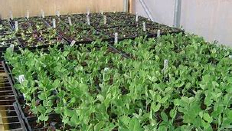 Agriculture Analytics Market Size, In-depth Analysis Report and Global Forecast to 2028