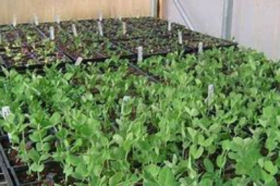 Agriculture Analytics Market Size, In-depth Analysis Report and Global Forecast to 2028