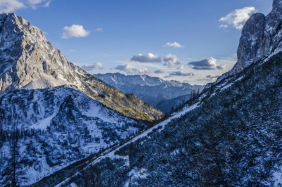 get free info best hair transplant doctors in florida in 2022