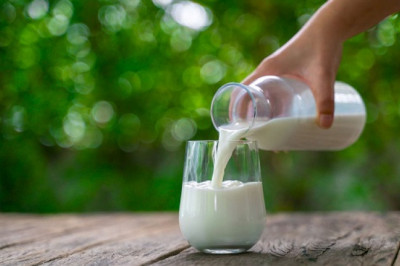 Global Dairy Products Waste Management Market is Expected to reach USD 53.10 billion by 2028 at a CAGR 5.5%