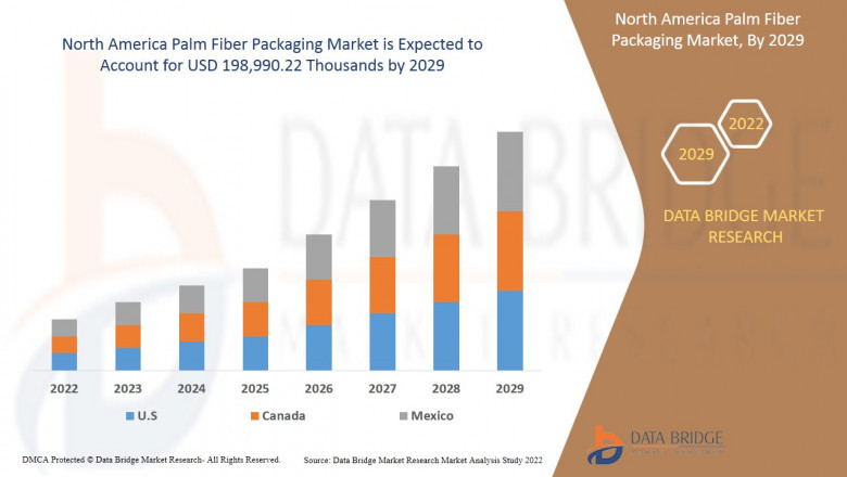 North America Palm Fiber Packaging Market by Size, Share and Forecasts