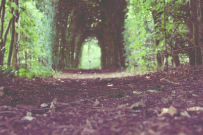 responsible for a buy magic mushrooms online uk budget 12 top notch ways to spend your money