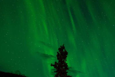 what hollywood can teach us about trigger point needling