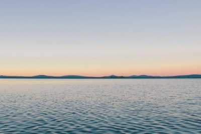 10 things everyone hates about buy magic mushrooms uk