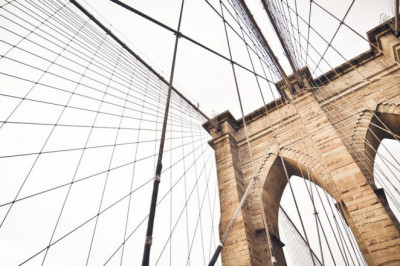 become an expert on buy magic mushrooms by watching these 5 videos