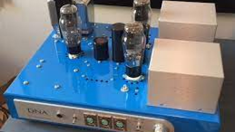 DNA Amplifier Market Size, Share, Growth Opportunity & Global Forecast to 2028
