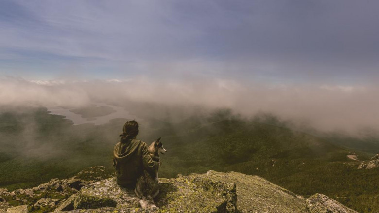 examine specifics of dental bridges and its pros