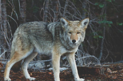 free information best hair growth bethesda in 2022