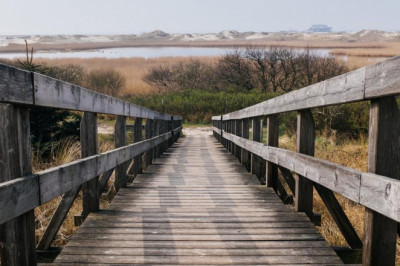 magic mushrooms uk expectations vs reality