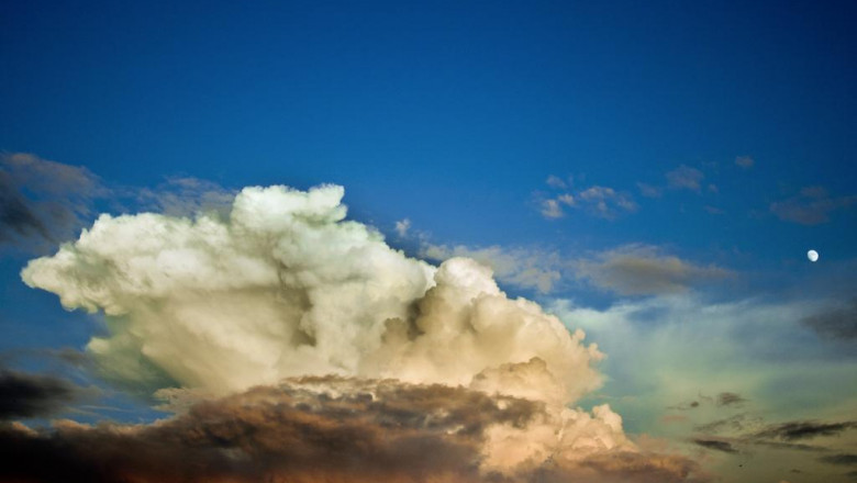 choose healthful volhard pet canine nourishment food stuff for pet dogs