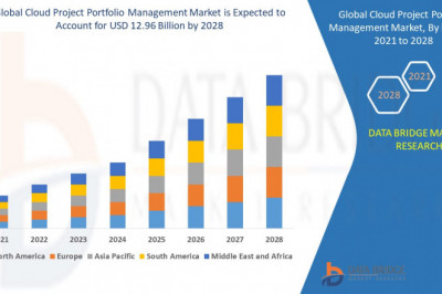 Cloud Project Portfolio Management Market   in terms of market share during the forecast period 2022-2029