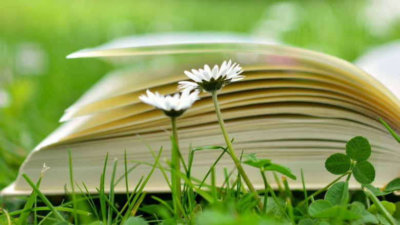 Help Me Write My Essay - How to Write a Good Paper