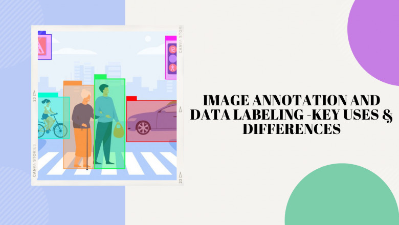 Image Annotation And Data Labeling - Top Key Uses And Differences