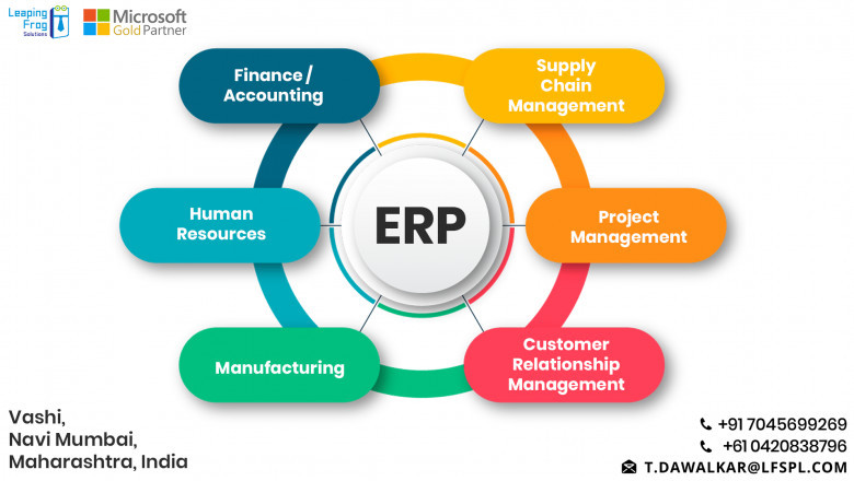 Microsoft ERP Implementation Service from Leaping Frog Solutions