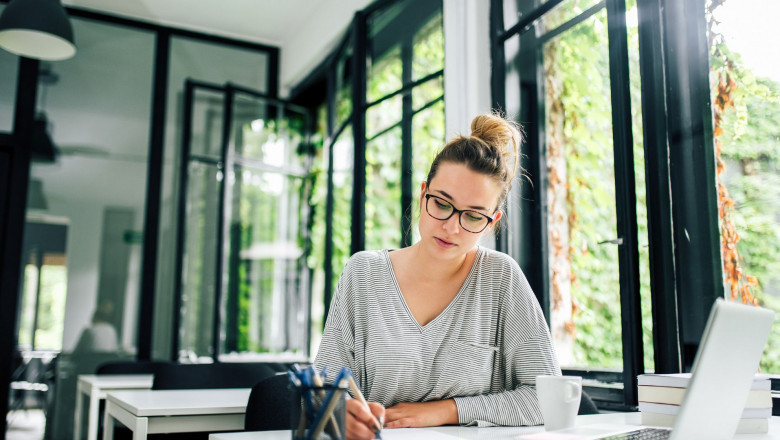 The Beginner's Guide to Writing an Essay