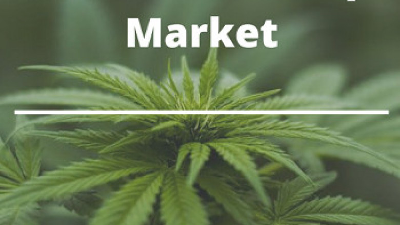 A Versatile and Sustainable Choice: Industrial Hemp