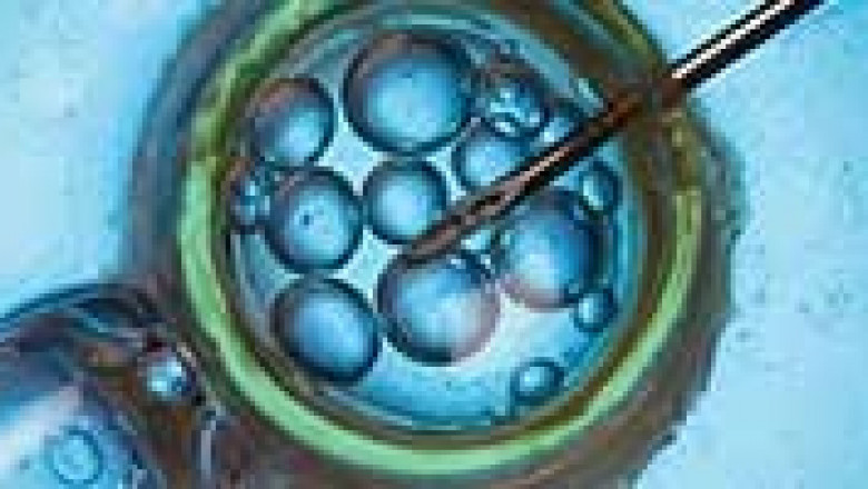 Emerging Trends in In Vitro Fertilization Market