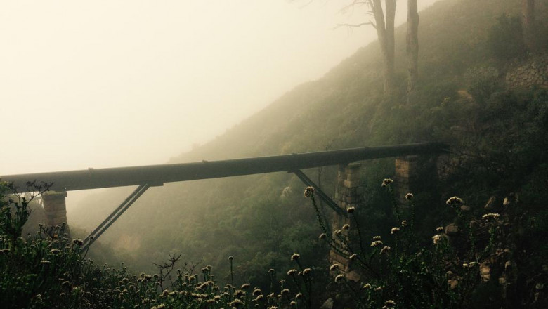 get free information about hair plugs for women at natural hair transplants