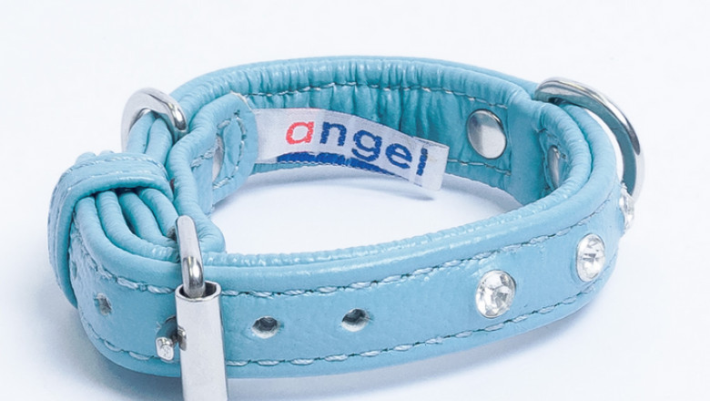 When Choosing a Collar for Your Dog, Only Leather is an Option