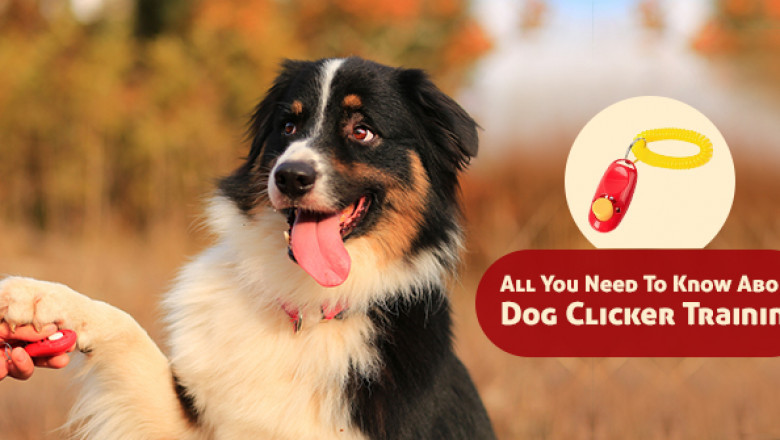 All You Need To Know About Dog Clicker Training