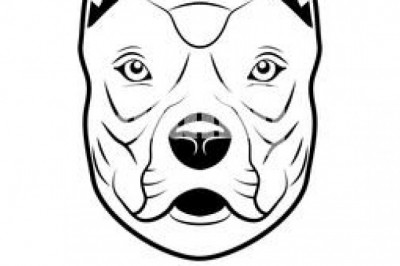 How do I Swap Pitbull Token?