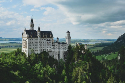 should fixing magic mushrooms uk take 60 steps