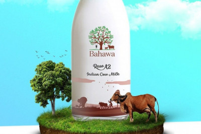 THE VALUE OF DESI A2 COW MILK IN AYURVEDA