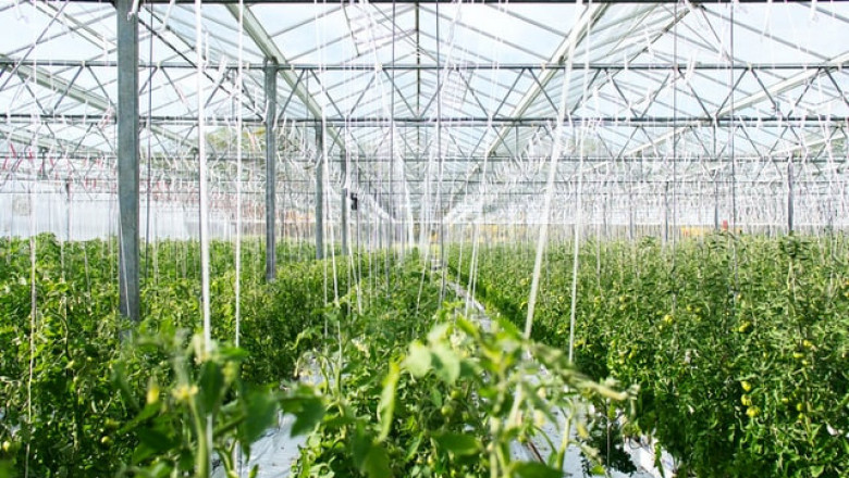 What is better than glass greenhouse?