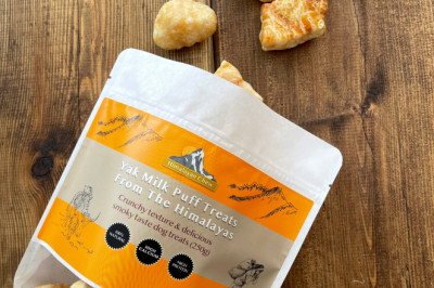 Buy The Best Dog Chews Online – Go For Natural Chews For Dogs