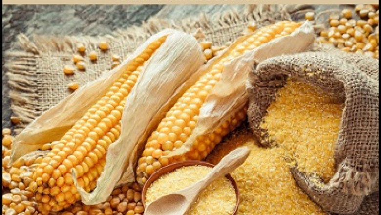 Global Corn Bran Market Report and Forecast 2022-2027