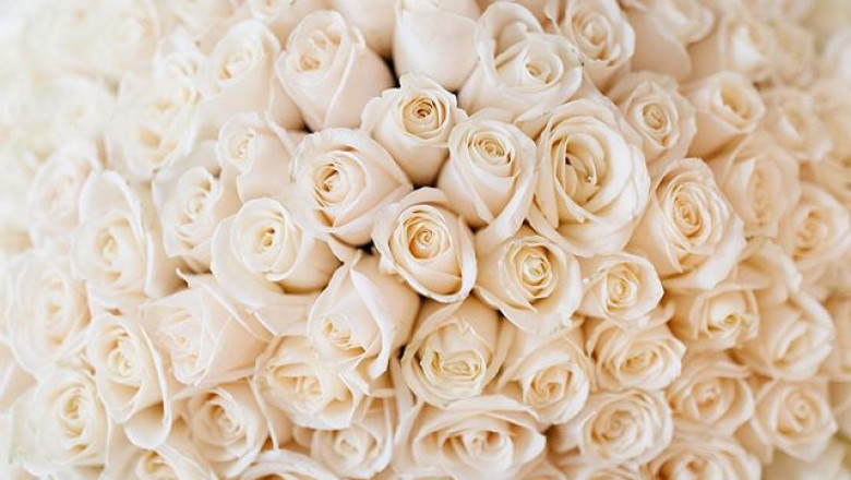 How to Create Peaceful Spaces with Preserved Roses