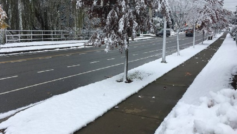 Why is it vital to use commercial snow removal services?