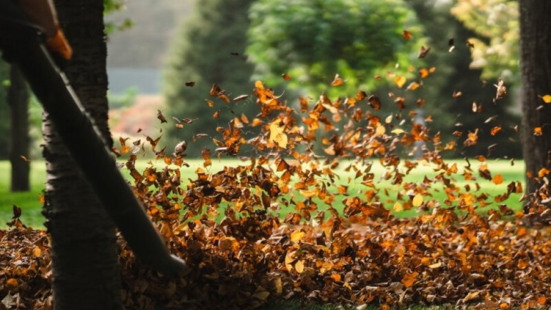 A Mission To Create Clean Cities