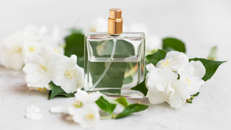 Best Perfumes for Spring and Summer – 5 Tips on Choosing The Right Ones