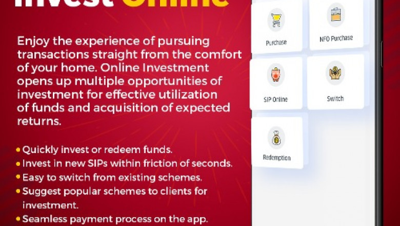 How does Mutual Fund Software for IFA sorts reports?