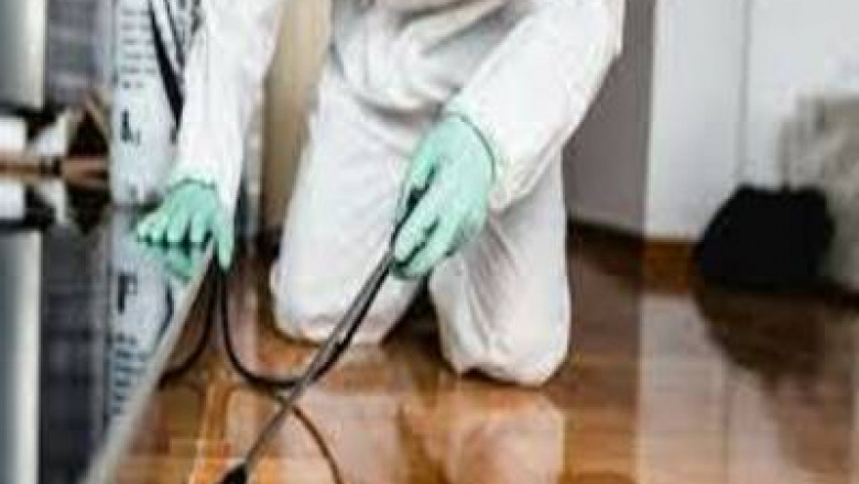 Pest Control Eastbourne