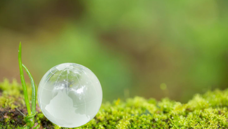 Yayzy | Signs Indicate You to Calculate Carbon Footprints