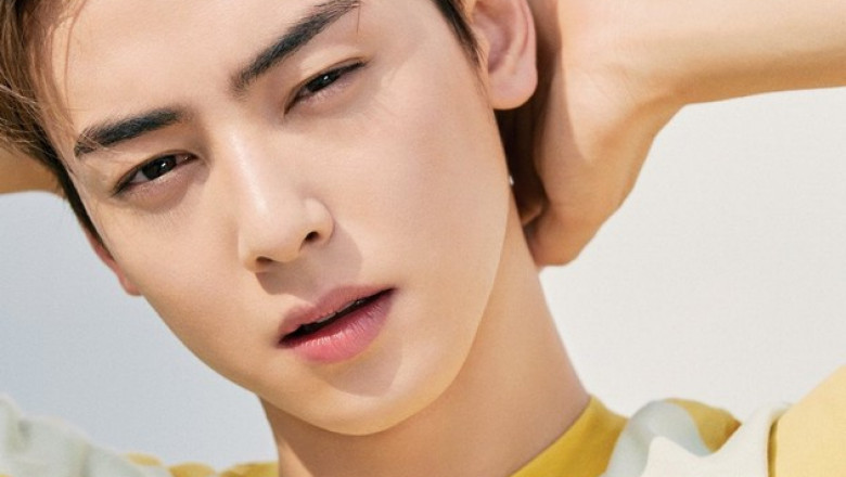 10 Issues You'll need to know About "True Beauty" Star Cha Eun Woo