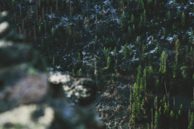 10 reasons why you are still an amateur at magic mushrooms uk