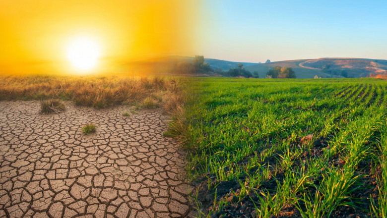 5 Best Documentaries About Climate Change That Will Alarm You