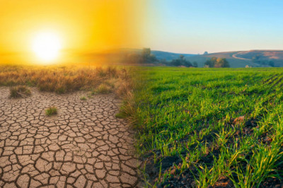 5 Best Documentaries About Climate Change That Will Alarm You