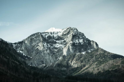 best magic mushrooms uk androidiphone apps