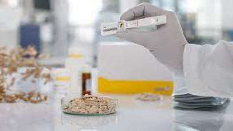 Global Mycotoxin Testing Market Report, Latest Trends, Industry Opportunity &amp; Forecast to 2028