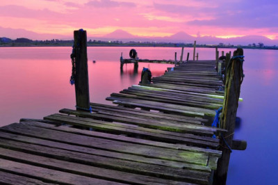 magic mushrooms uk mindset genius idea