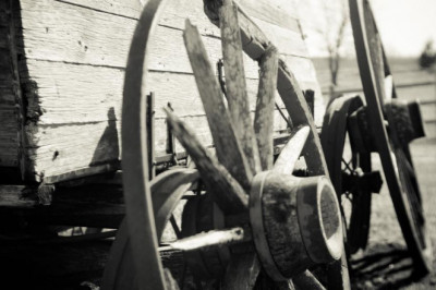 the complete process of magic mushrooms uk