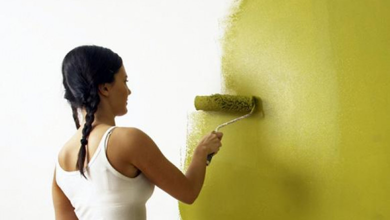 What to Look For in a Company When Hiring Domestic Painters?