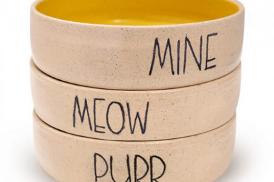Buy Cat bowls: Where can I Buy Cat bowls online in India?