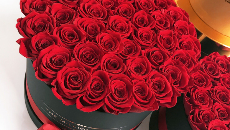 How to Create the Perfect Proposal with Preserved Roses