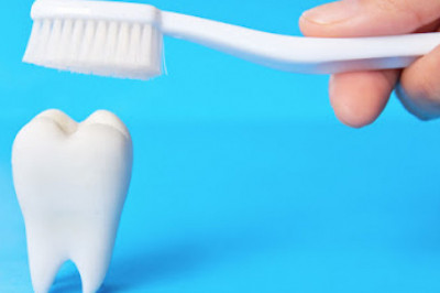 Best discount dental plans for 2022