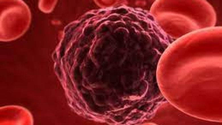 Report on Circulating Tumor Cells Market Research 2028 - Value Market Research